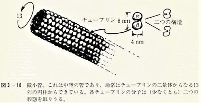 メッセージを管に沿って送ることができる。