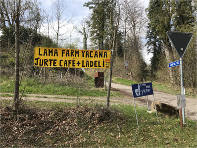 Hier geht's lang zur Lama Farm Yacana in Gossau. Bild: Tudor Dialog