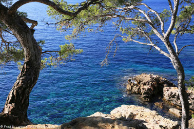 Crédit photo : www.photos-provence.fr