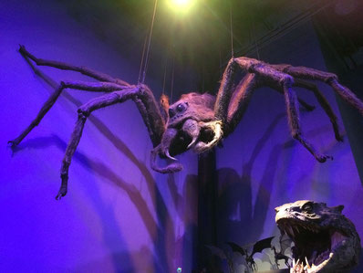 Harry Potter Studio Tour Review