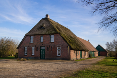 Traditioneller Resthof mit Reetdach – Historisches norddeutsches Bauernhaus