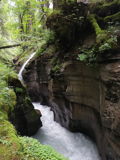 Felsbachschlucht 