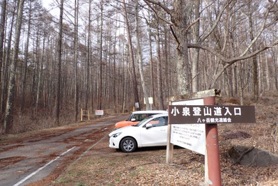 八ヶ岳　三ツ頭　雪山　登山　ガイドツアー