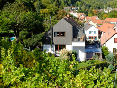 Wohnen im Weinberg