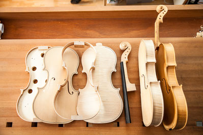 Violins by Sandrine Louvet