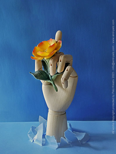 Rosengrüße, fineART, Stillleben, Holzhand-Model, Rose, gelb, blau, © by Pelz Kreativ 2023, Kunstfotografie,
