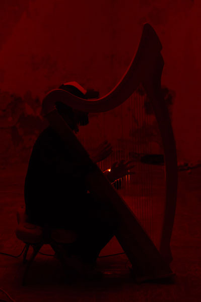 Andy Aquarius Celtic Harp Grabowsee Performance Photo by Mikolaj Rogowski