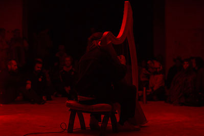Andy Aquarius Celtic Harp Grabowsee Performance Photo by Mikolaj Rogowski