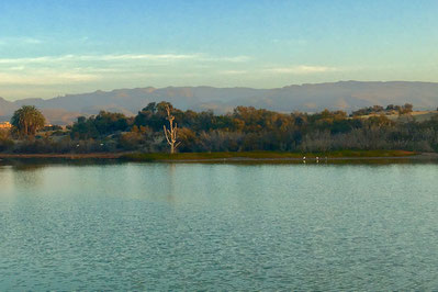 Die Lagune von Maspalomas "La Charca"