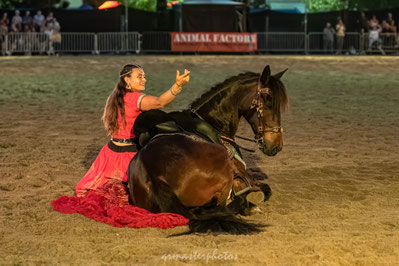 Spectacle nocture equestre a la fete du cheval