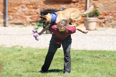 Photographe canin dog dancing toulouse Caniplouf