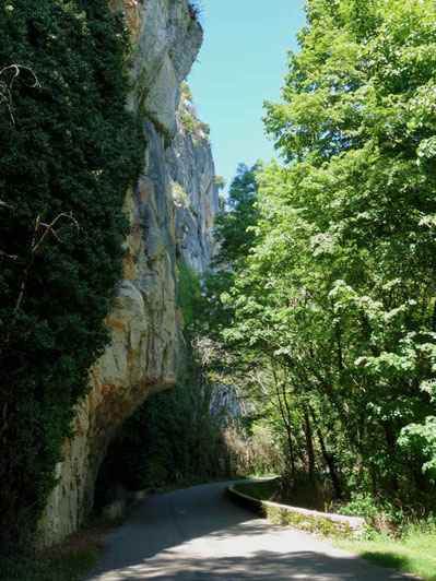Causses du Quercy