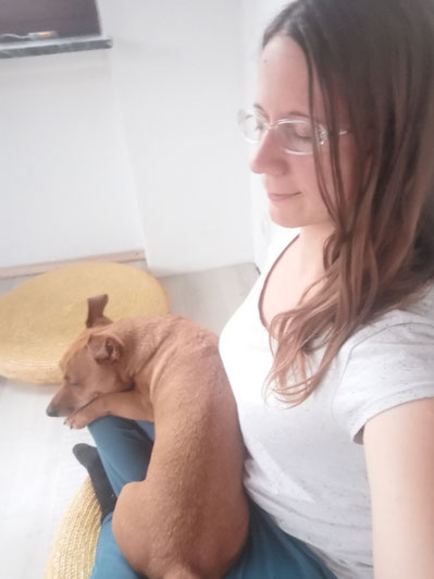 Hund soll still liegen - Hundetraining Bad Sooden-Allendorf