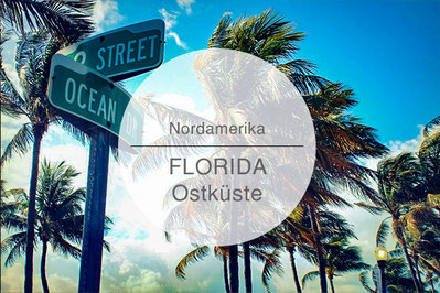 Florida, USA, Reisetipps, Highlights, Die Traumreiser
