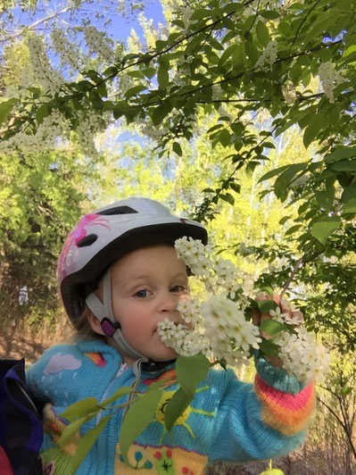 Get Your Child to Ride a Balance Bike With These 8 Tips