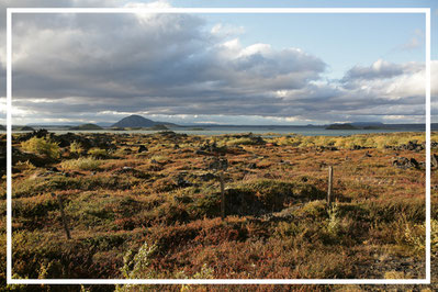 Mývatn-See-Mueckensee-ISLAND-3-3-Tour-G822