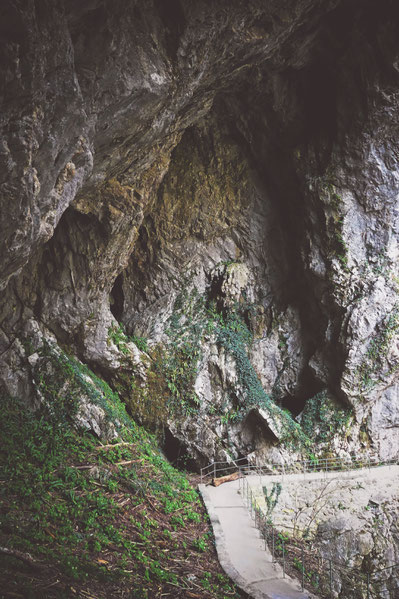 BIGOUSTEPPES SLOVENIE GROTTE SKOCJAN