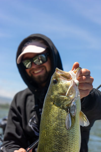 Largemouth Bass Megabass Spinnerbait Naivasha