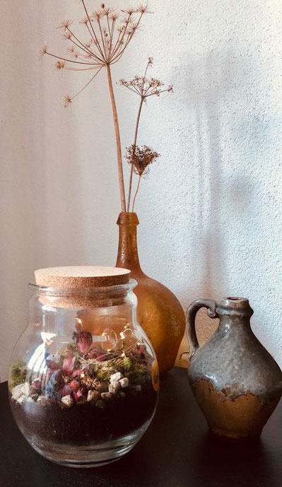 Plant Rebelz terrarium - plant in fles maken