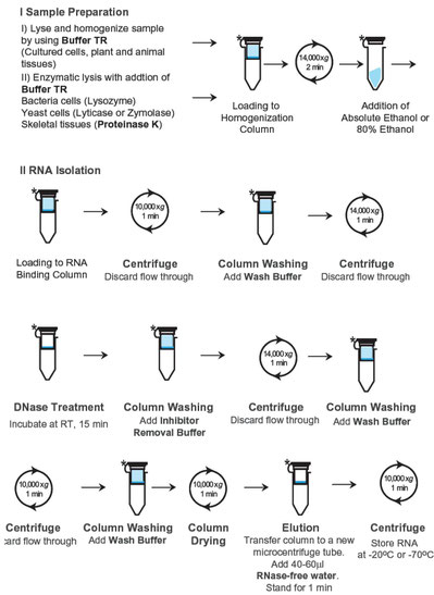 RNA isolation kit, aufreiniung von RNA