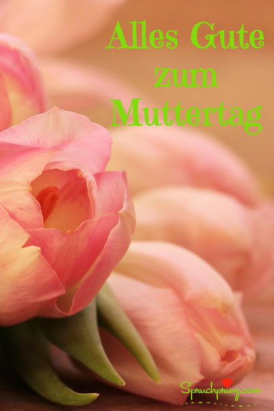 Download Alles gut sprueche For iPhone