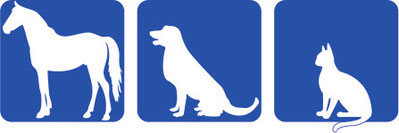 tierarztpraxis-buttenheim