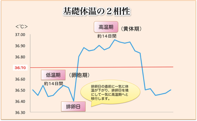 排卵障害,生理,基礎体温,不正出血,症状改善