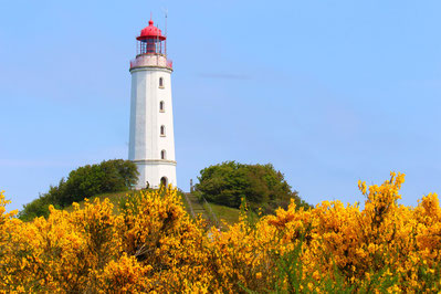 Hiddensee, Leuchtturm Gellen © Kerstin Riemer