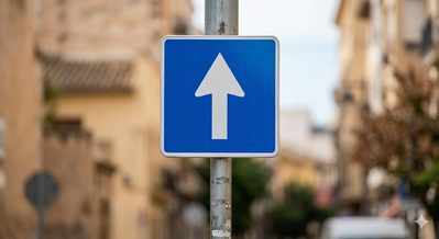 Diferencia entre señal de sentido único y dirección obligatoria