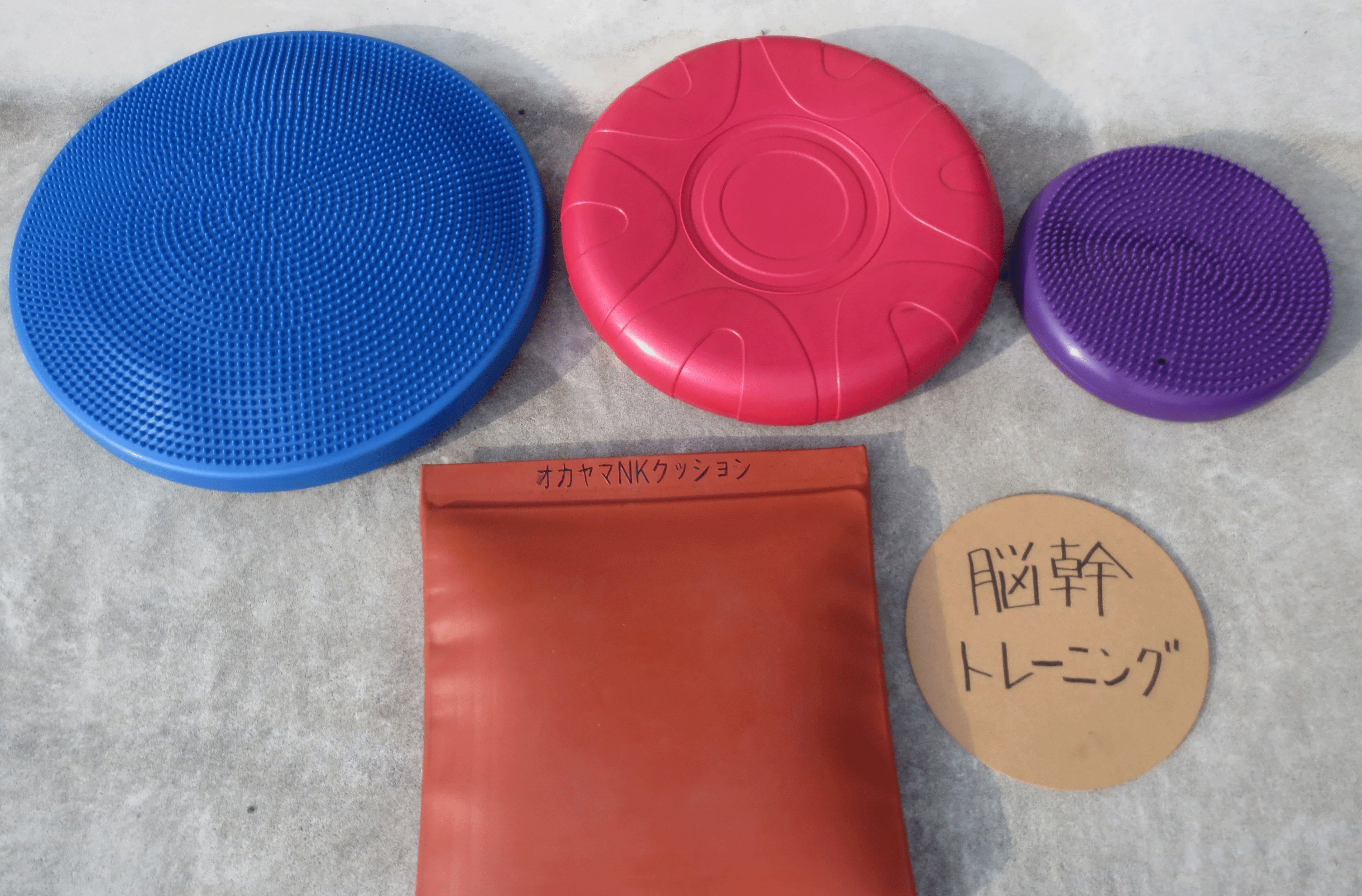オカヤマ 脳幹 NKクッション