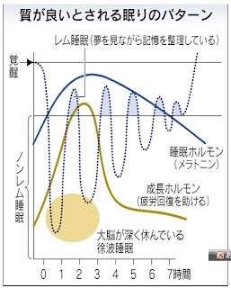 ピロール米 もりの元気米こしひかり