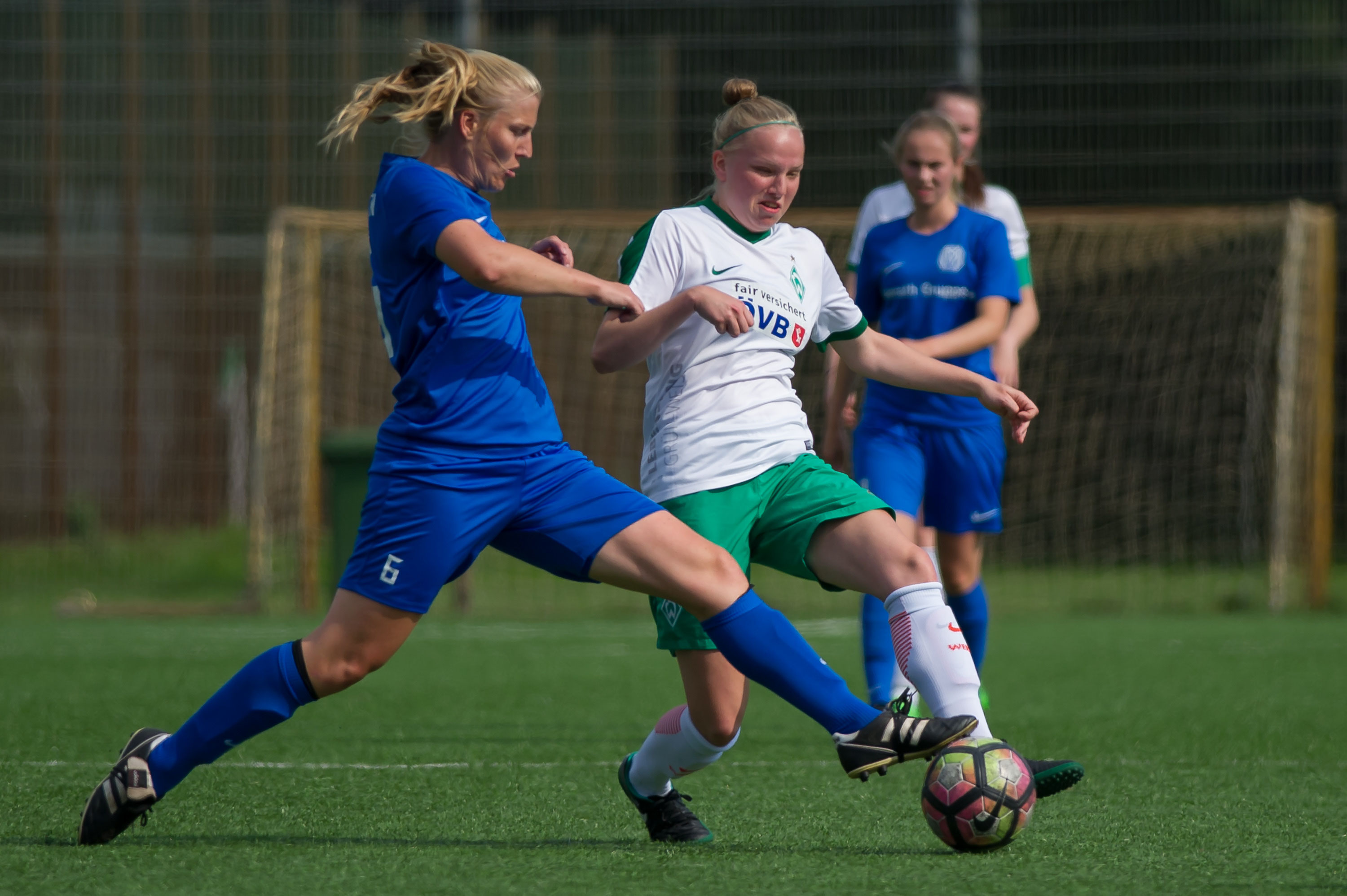 Sv Meppen Werder Bremen Sv Meppen Werder Bremen