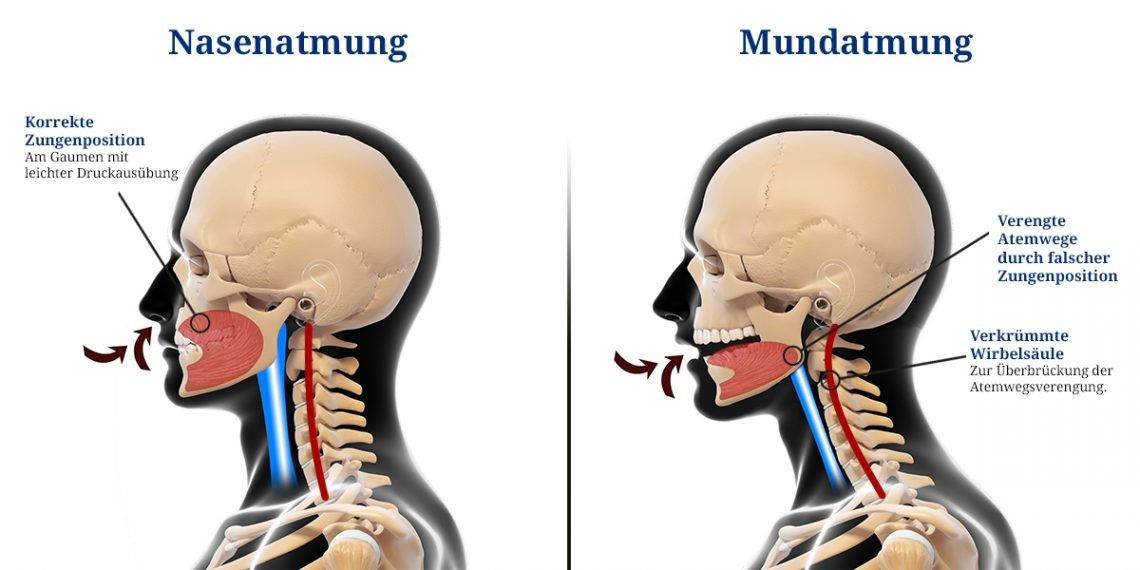 Atmung Sport und Mental Coaching