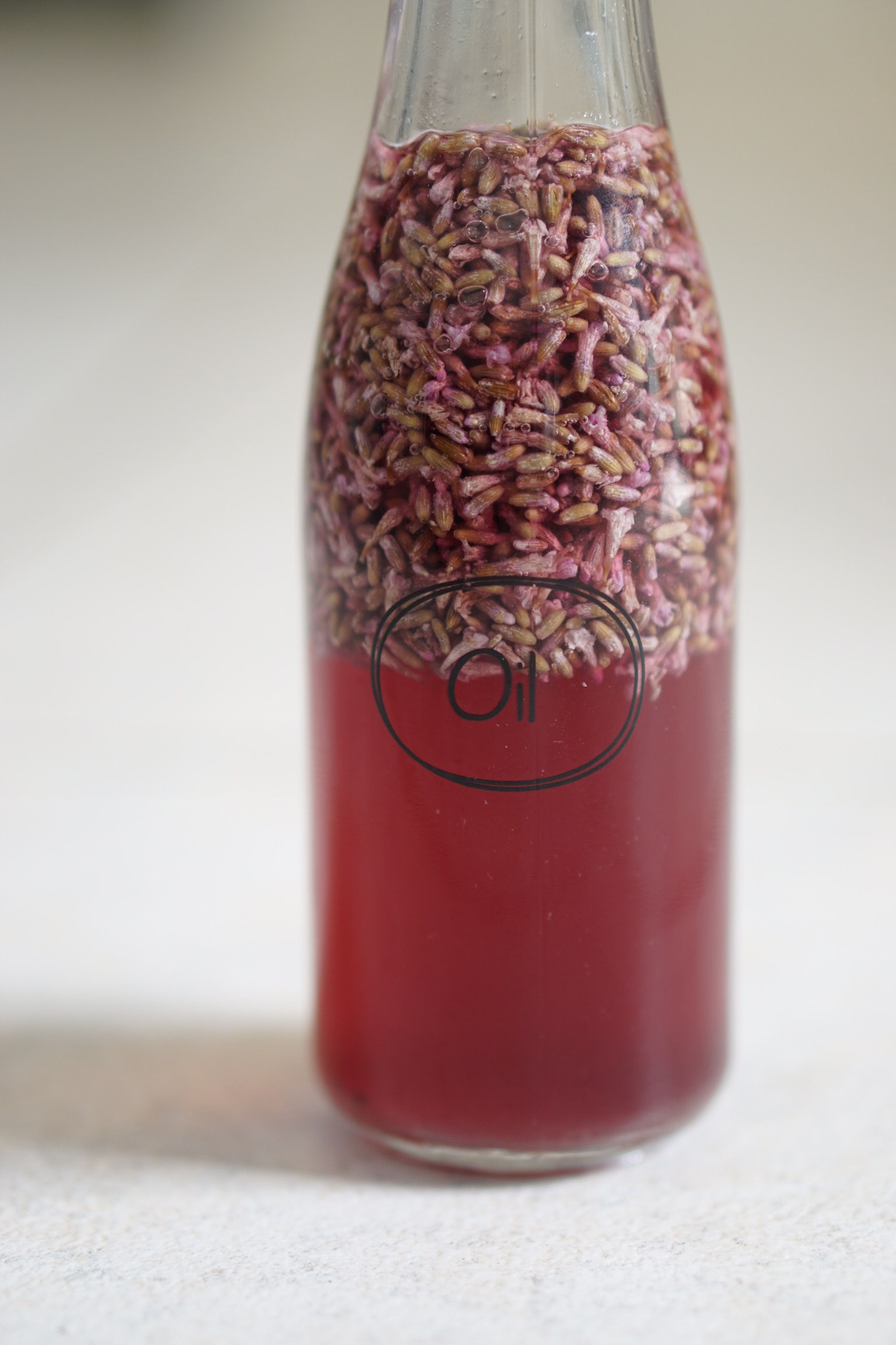 LavendelApfelessig gegen Zecken Ernährungsberatung für Hunde