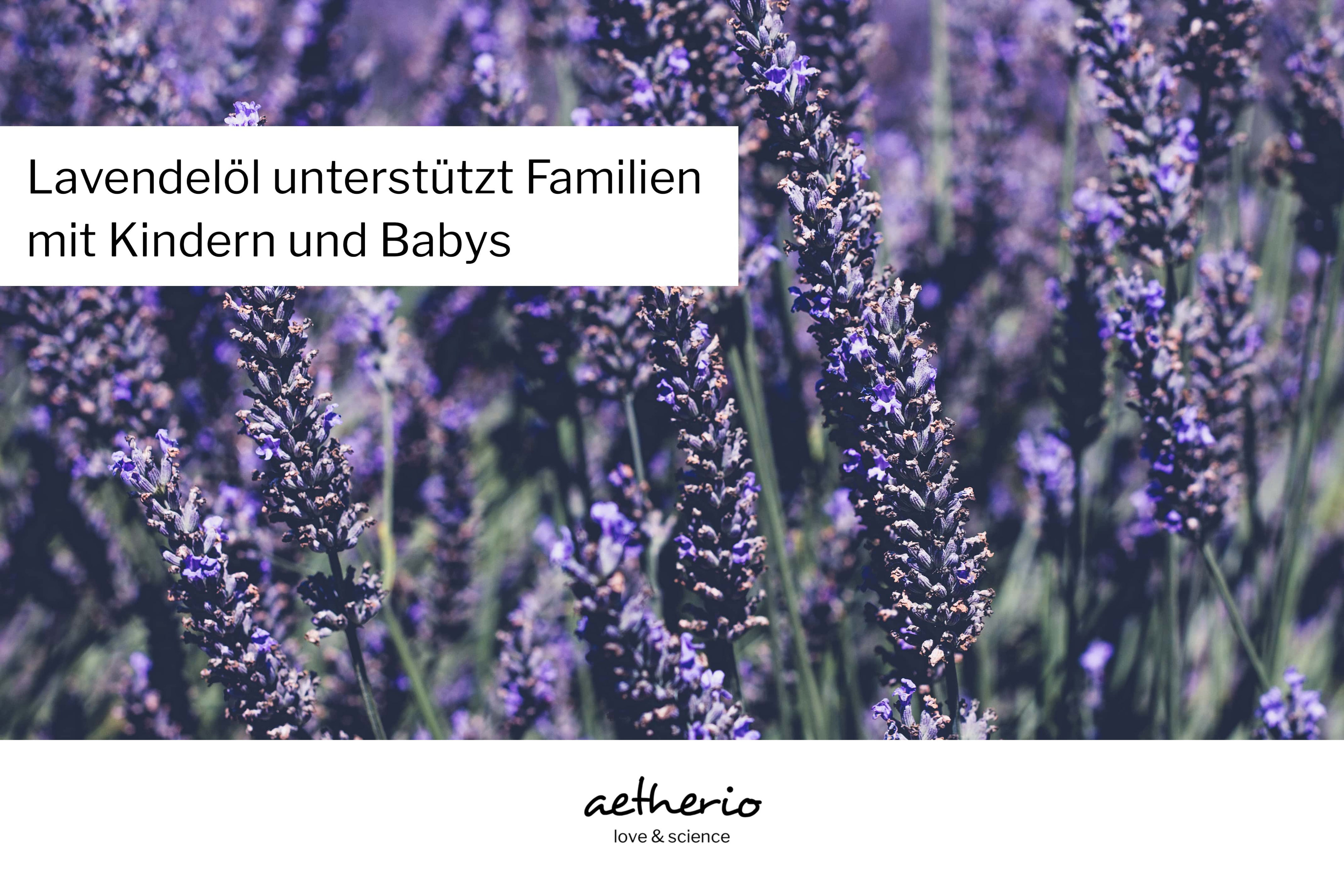 Wie Lavendel Familien mit Kindern und Babys unterstützt aetherio love