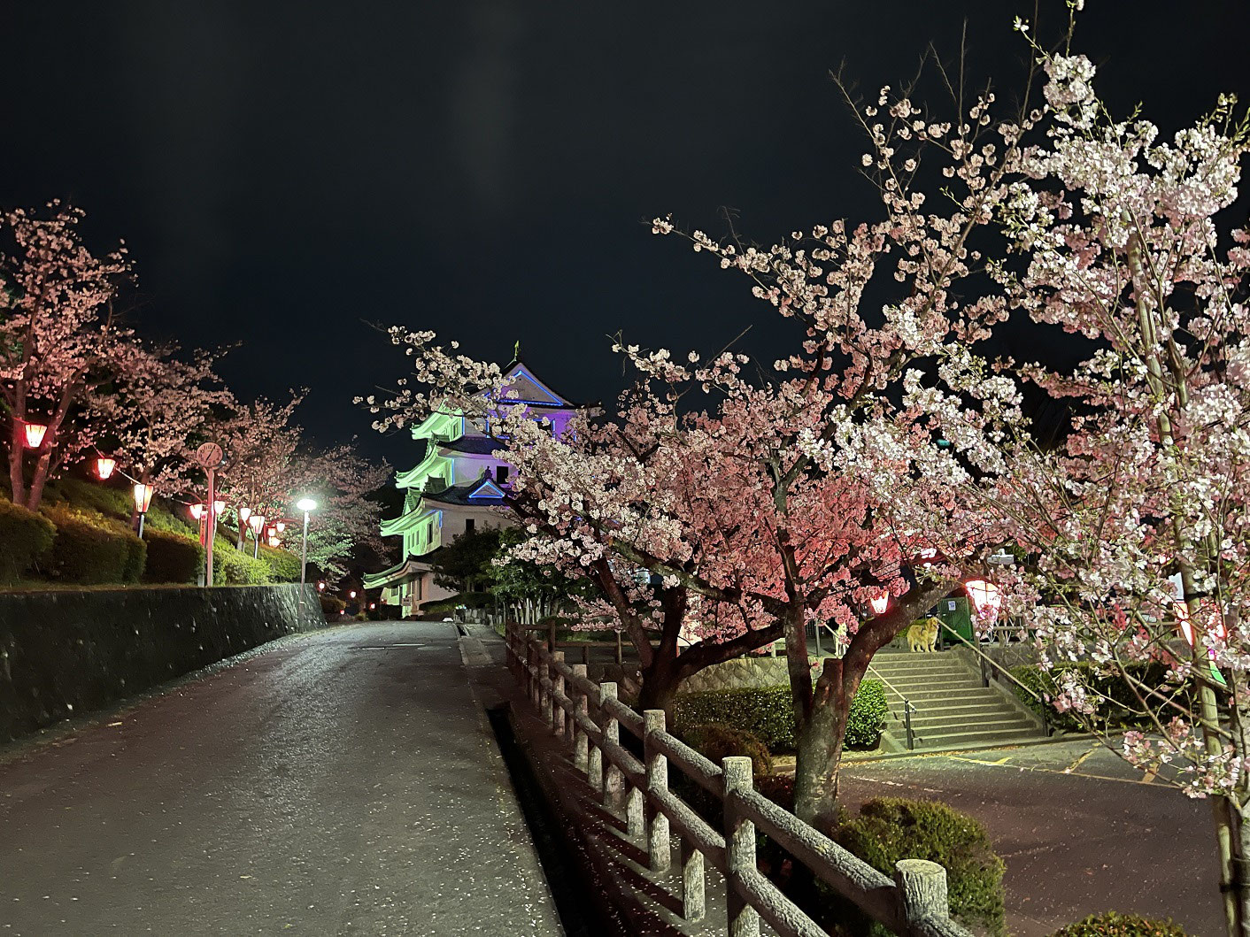 尾張旭で夜桜を見るならココ 城山公園は今が最高 22 3 31 名古屋市守山区の洋風外構 イングリッシュガーデン専門店