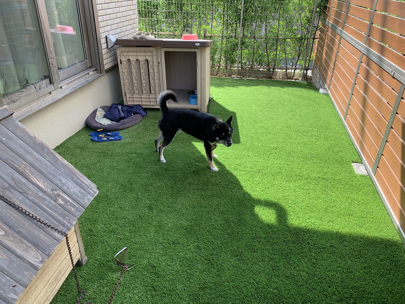 名古屋市 人工芝 犬の庭 脱走防止と穴掘り防止のドッグランを作る 22 6 23 名古屋市守山区の洋風外構 イングリッシュガーデン専門店 名古屋市 人工芝 犬の庭 脱走防止と穴掘り防止のドッグランを作る 22 6 23 名古屋市守山区の洋風外構 イングリッシュガーデン専門店