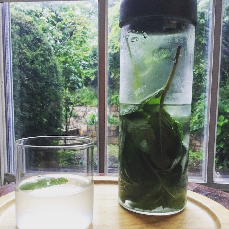 水にハーブを入れるだけ ハーブウォーターですっきり サカイ優佳子の未来につながる食育を