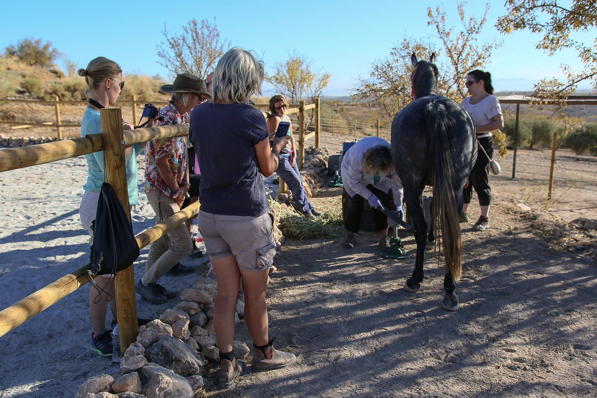 Course Review Series Hoof Trimming for Horse Owners Cortijo de Segura