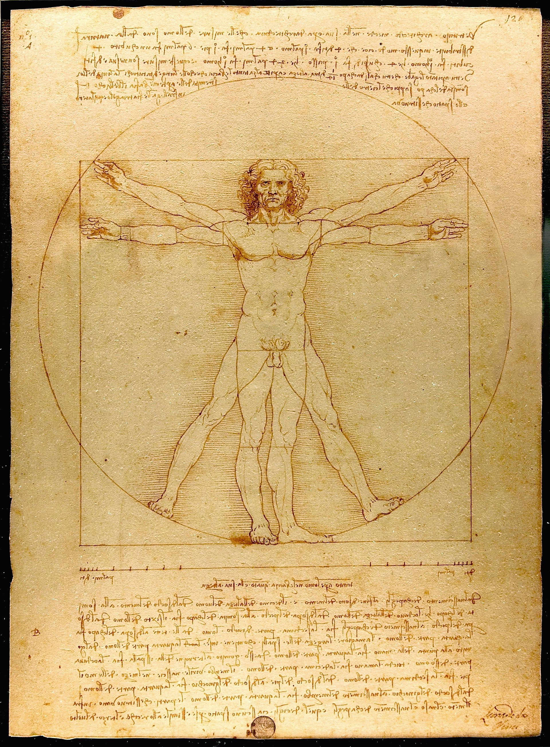 作品解説】ウィトルウィルス的人体図「レオナルドの理想的な身体