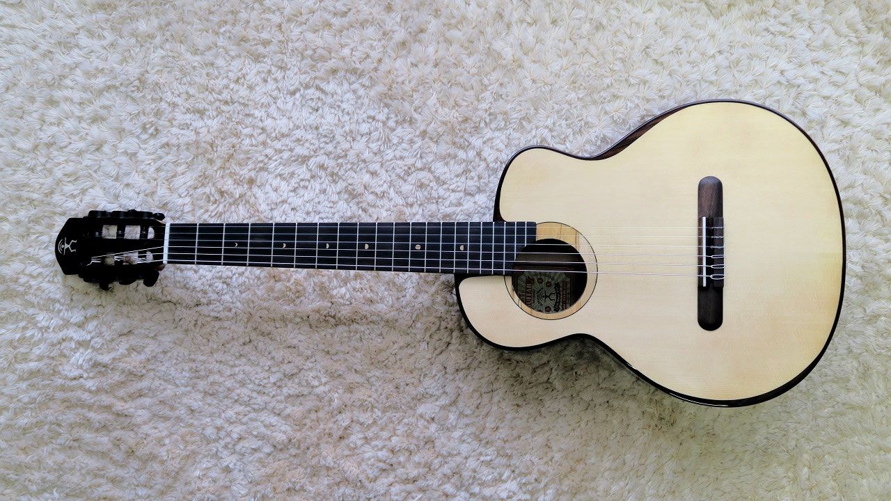 ANueNue Bird Guitar Series aNN-MN-14|ドルフィンギターズ aNueNue