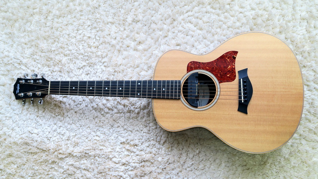 Taylor GS Mini LTD 2013 - fumiya RK ソロギター website