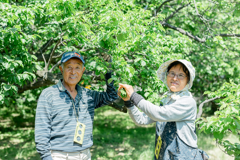 十郎梅の普及に努めた「十郎世代の生産者達」 - 有限会社ジョイ