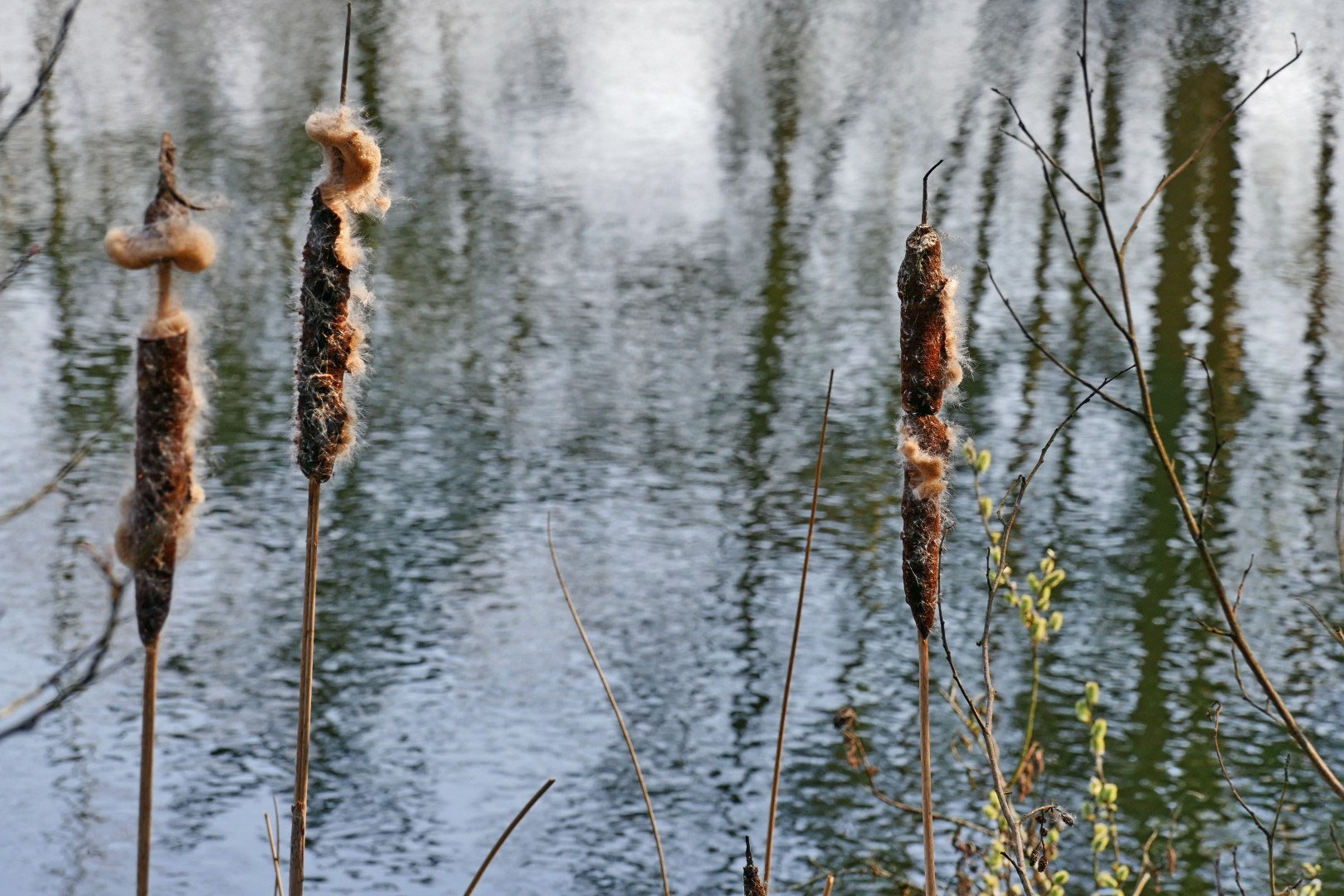 Blog - fotoclub-wuppertals Webseite!