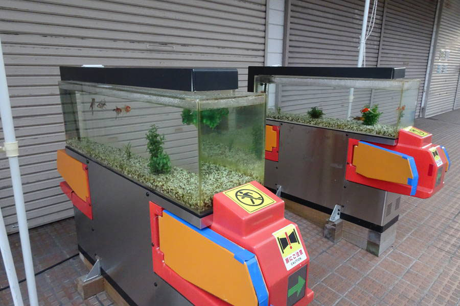 大和郡山の金魚ストリートを行く 奈良観光スポット おおむね観光ちゃんねる 旅行エンタメ情報サイト 大和郡山の金魚ストリートを行く 奈良観光スポット おおむね観光ちゃんねる 旅行エンタメ情報サイト