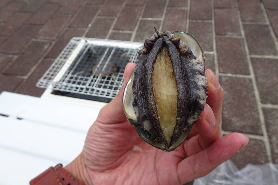ひやま漁協大成支所 活あわび直売所ならワンコインでも買えちゃう 北海道 せたなグルメ おおむね観光ちゃんねる 旅行エンタメ情報サイト