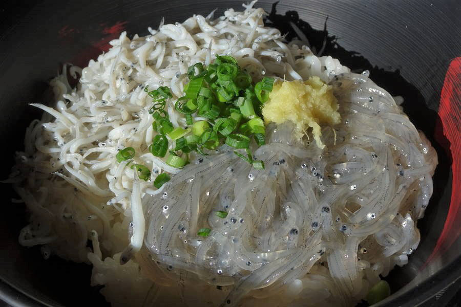 田子の浦漁協食堂｜生・釜揚げ・揚げのしらす三色丼【静岡・富士グルメ】