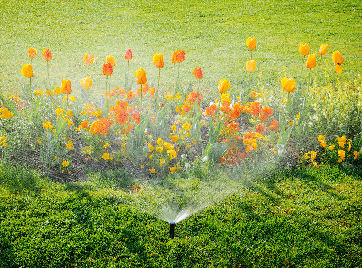 The Rise Of Smart Home Sprinklers Sarpy Irrigation