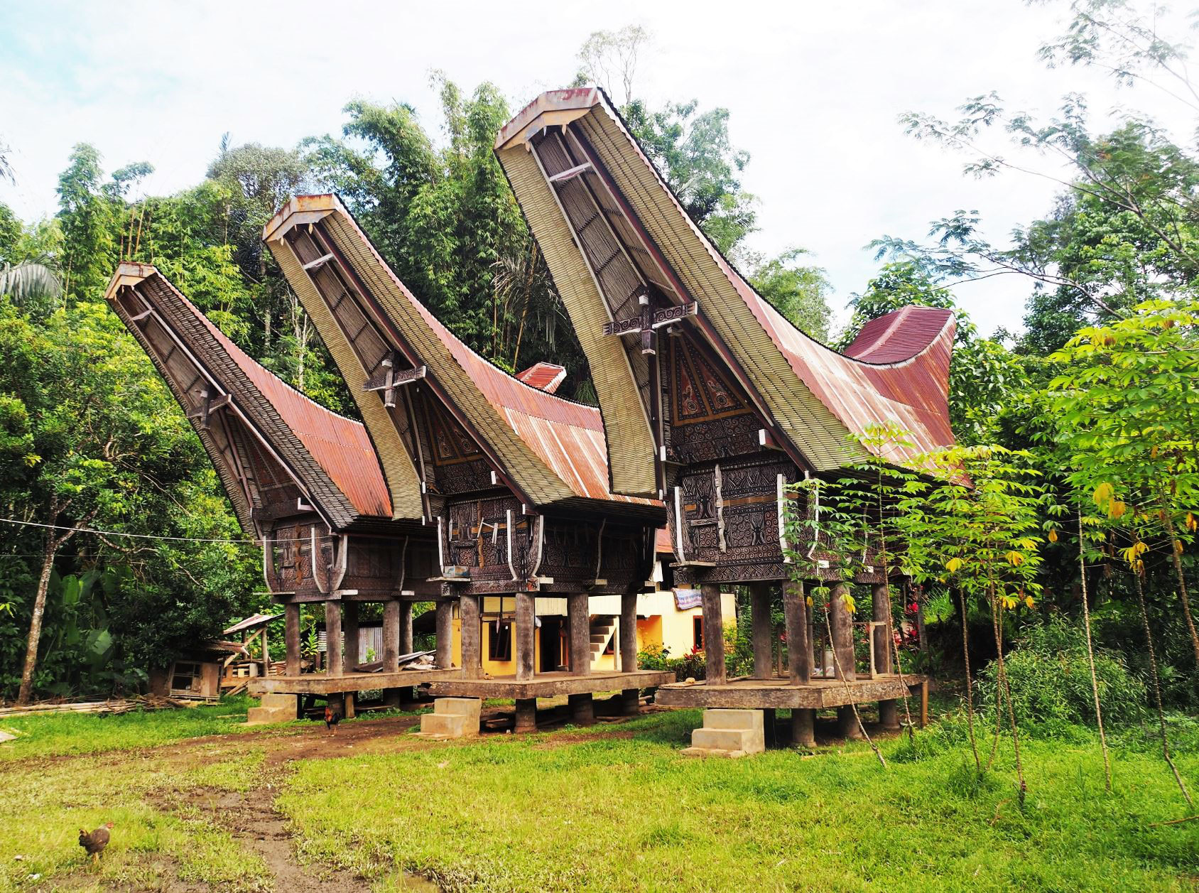 Indon sie une immersion chez les Torajas au Sulawesi 2 Indon sie une immersion chez les Torajas au Sulawesi 2