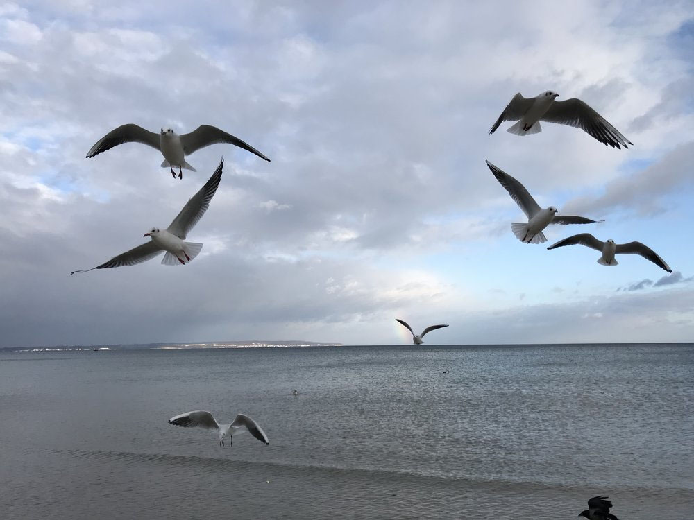 Get Schlagfertigkeit sarkasmus oberflaechliche menschen sprueche For Free Schlagfertigkeit Sarkasmus Oberflaechliche Menschen Sprueche